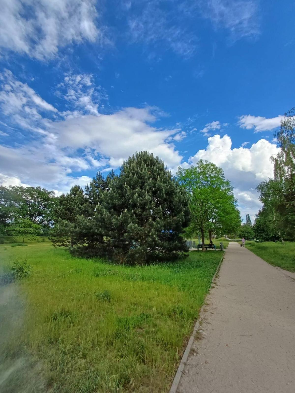 Rodzinny Apartament Blisko Hali Stulecia I Zoo Wrocław Zewnętrze zdjęcie